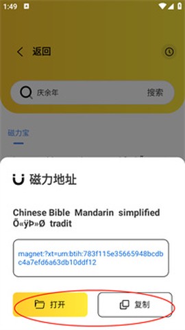 闪电磁力