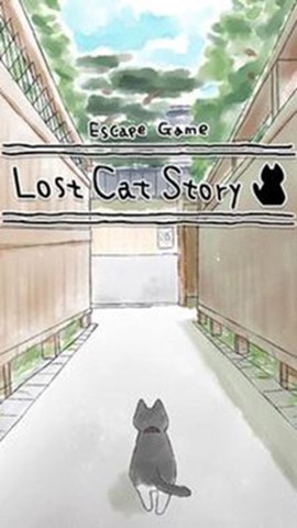 迷路的猫 迷路的猫