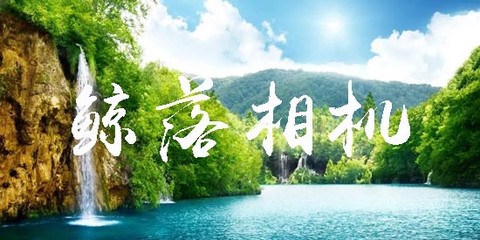 鲸落相机app官方版 鲸落相机app官方版