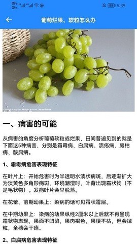 嗨老板开个店2023官方正版