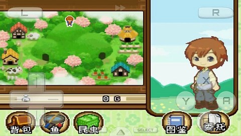 牧场物语双子村中文版