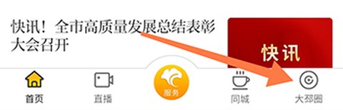 邳州银杏甲天下大邳圈