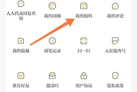 邳州银杏甲天下我的报料